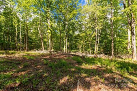 5212 Star Magnolia Court Clover SC 29710