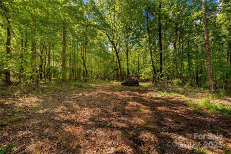 5212 Star Magnolia Court Clover SC 29710