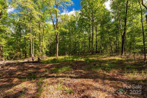 5212 Star Magnolia Court Clover SC 29710