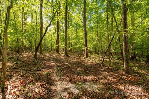 5212 Star Magnolia Court Clover SC 29710