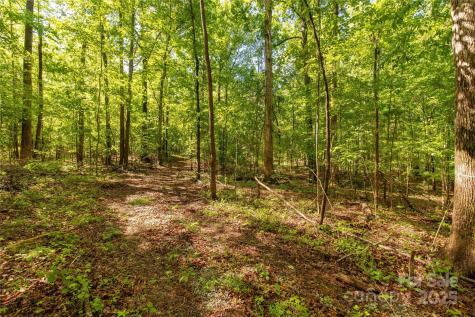5212 Star Magnolia Court Clover SC 29710
