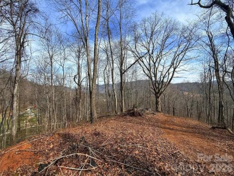 672 Porters Ridge Canton NC 28716