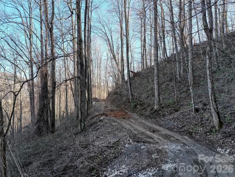 672 Porters Ridge Canton NC 28716