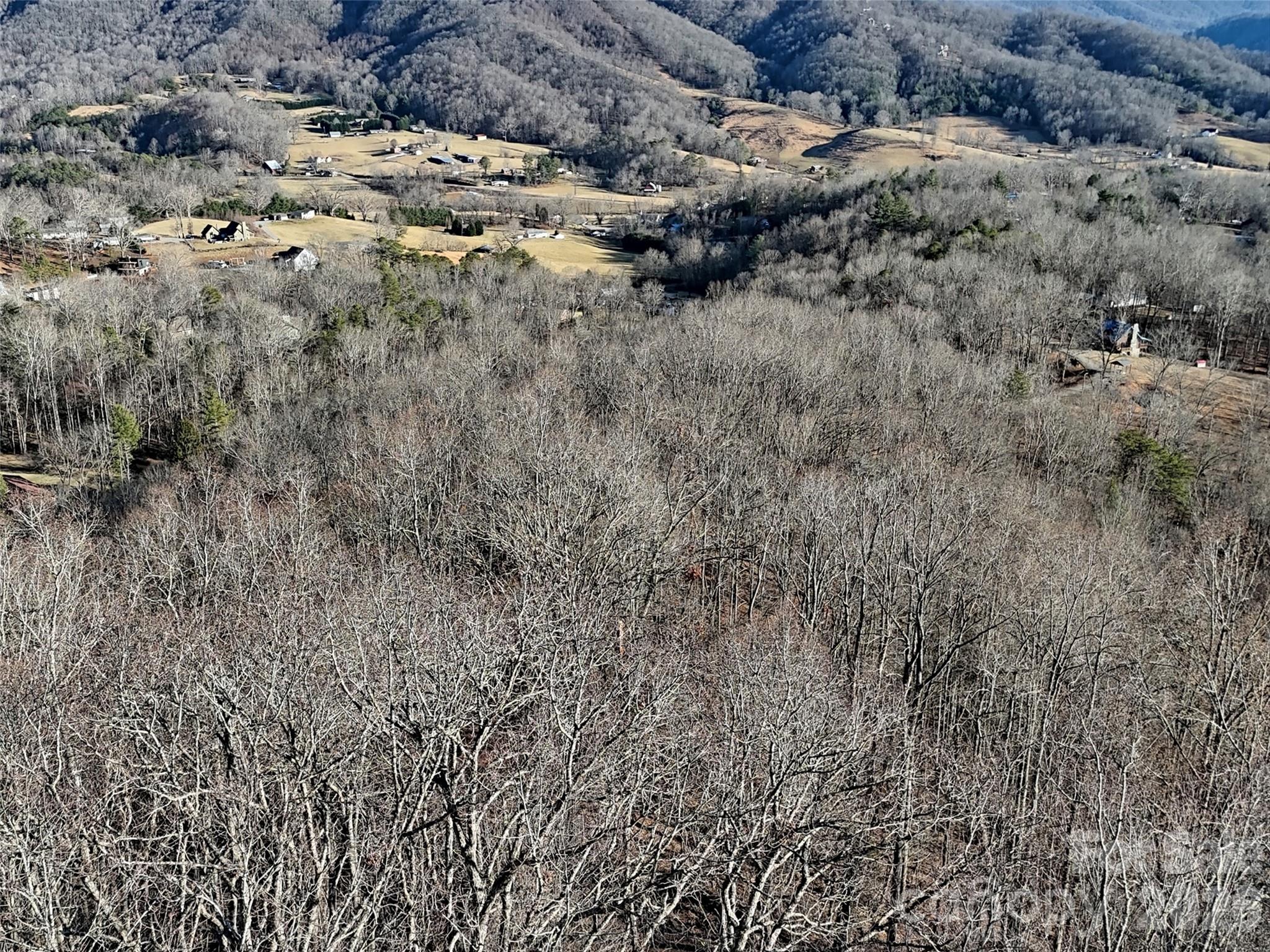 672 Porters Ridge Canton NC 28716