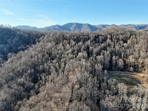 672 Porters Ridge Canton NC 28716