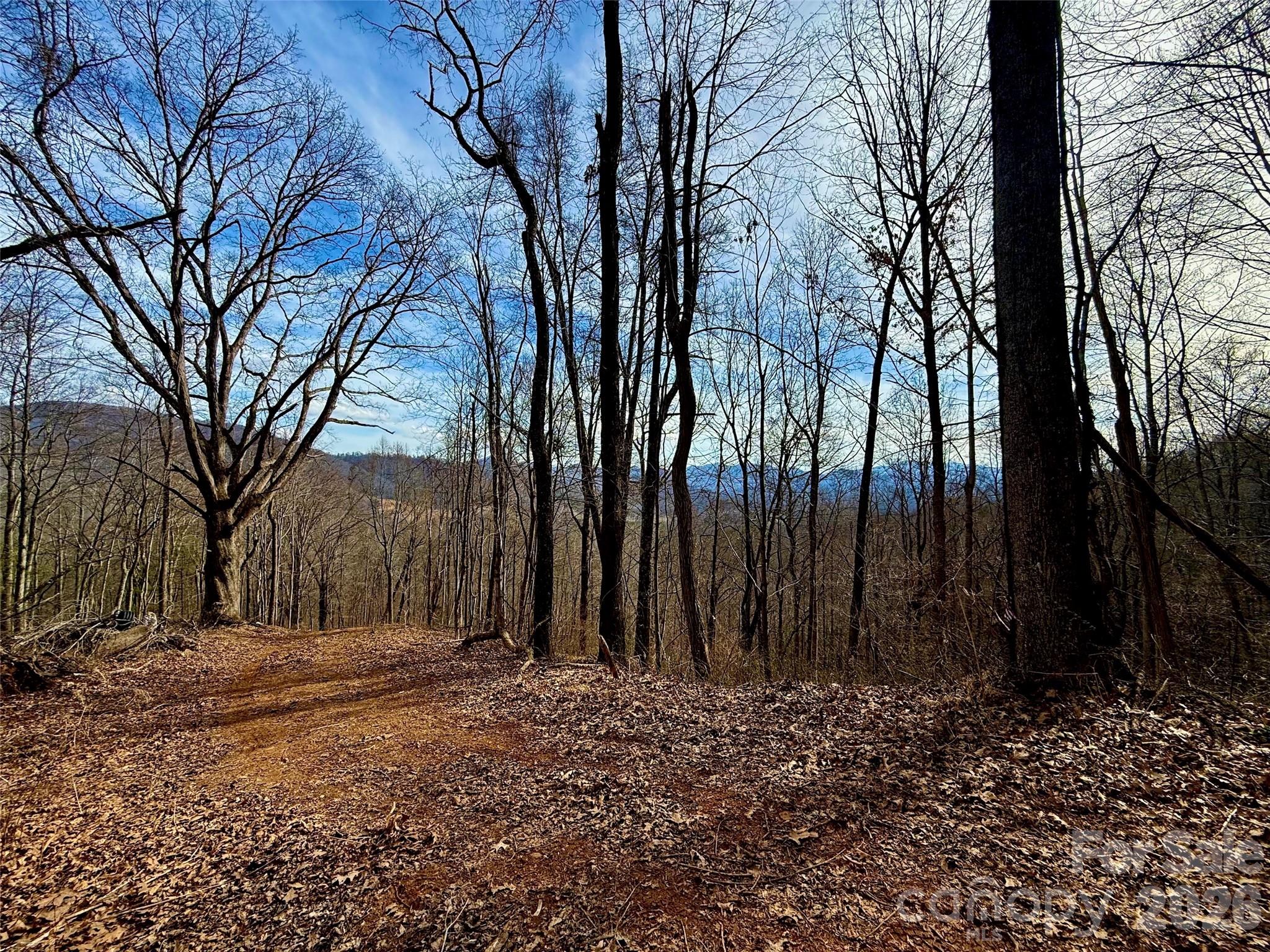 672 Porters Ridge Canton NC 28716