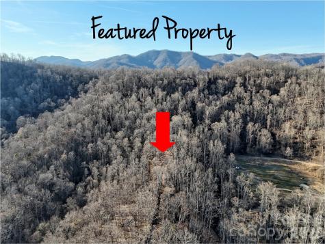 672 Porters Ridge Canton NC 28716