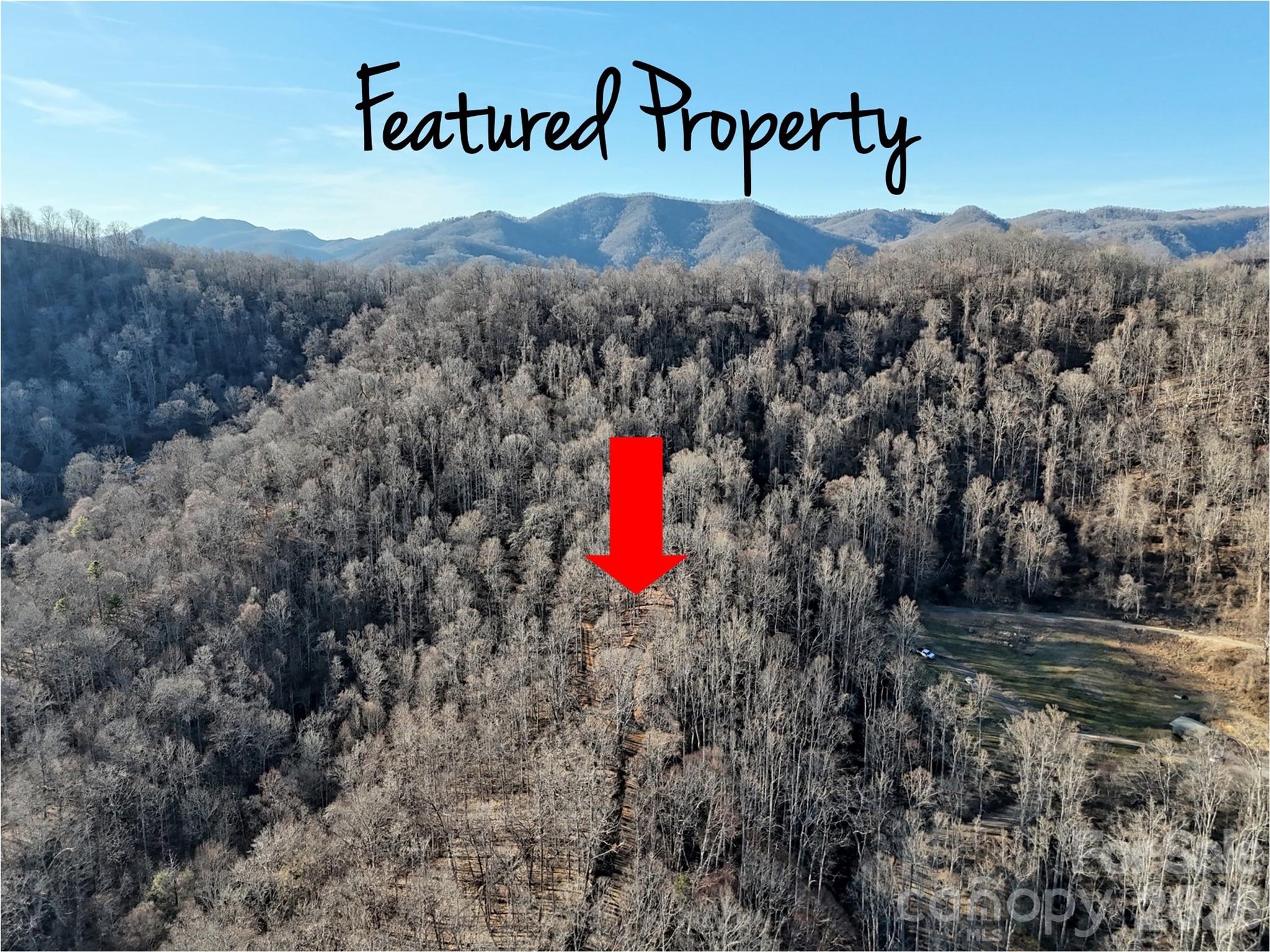 672 Porters Ridge Canton NC 28716