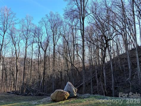 672 Porters Ridge Canton NC 28716