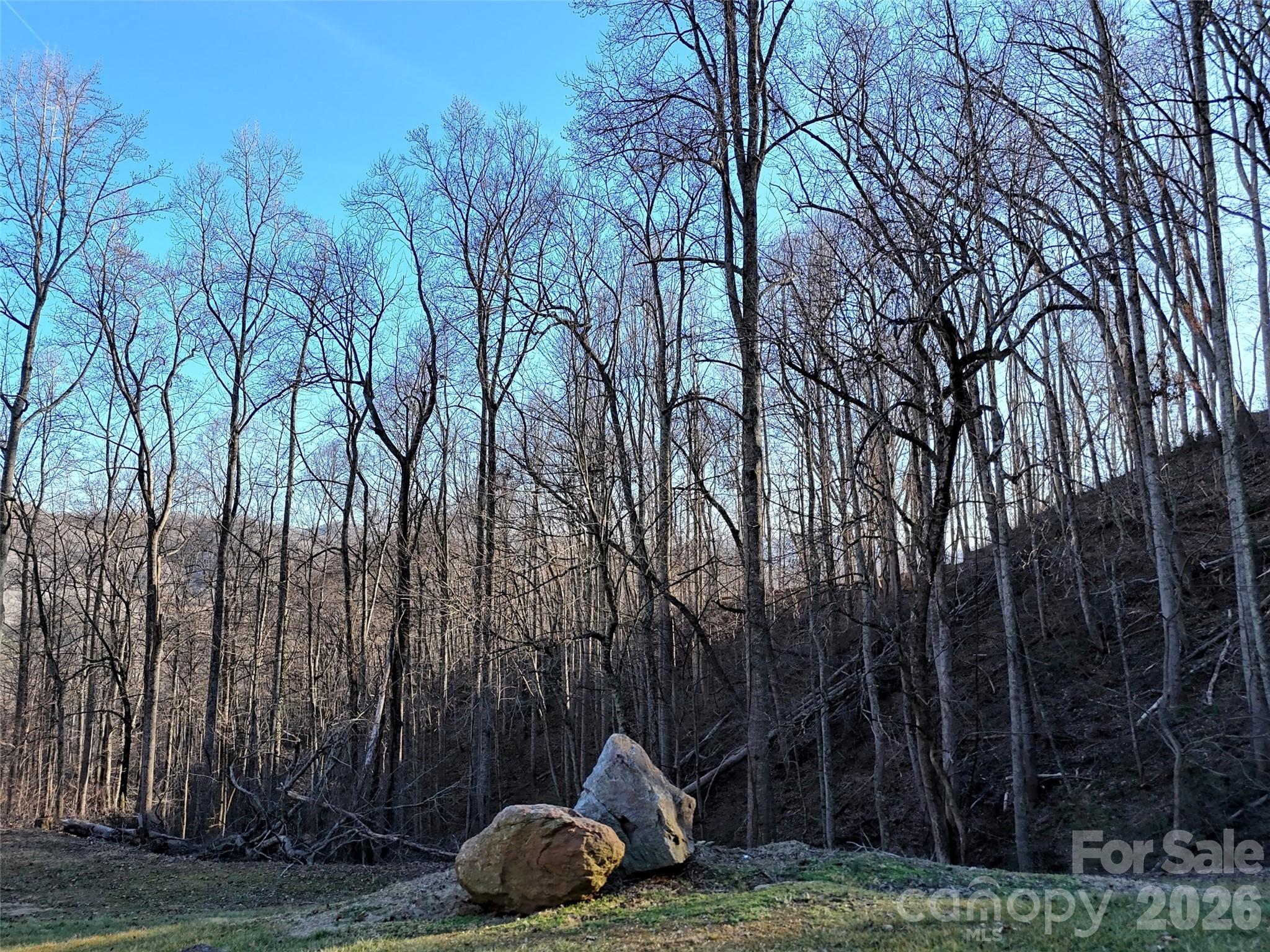 672 Porters Ridge Canton NC 28716