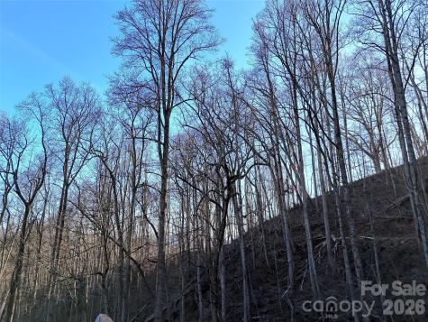 672 Porters Ridge Canton NC 28716