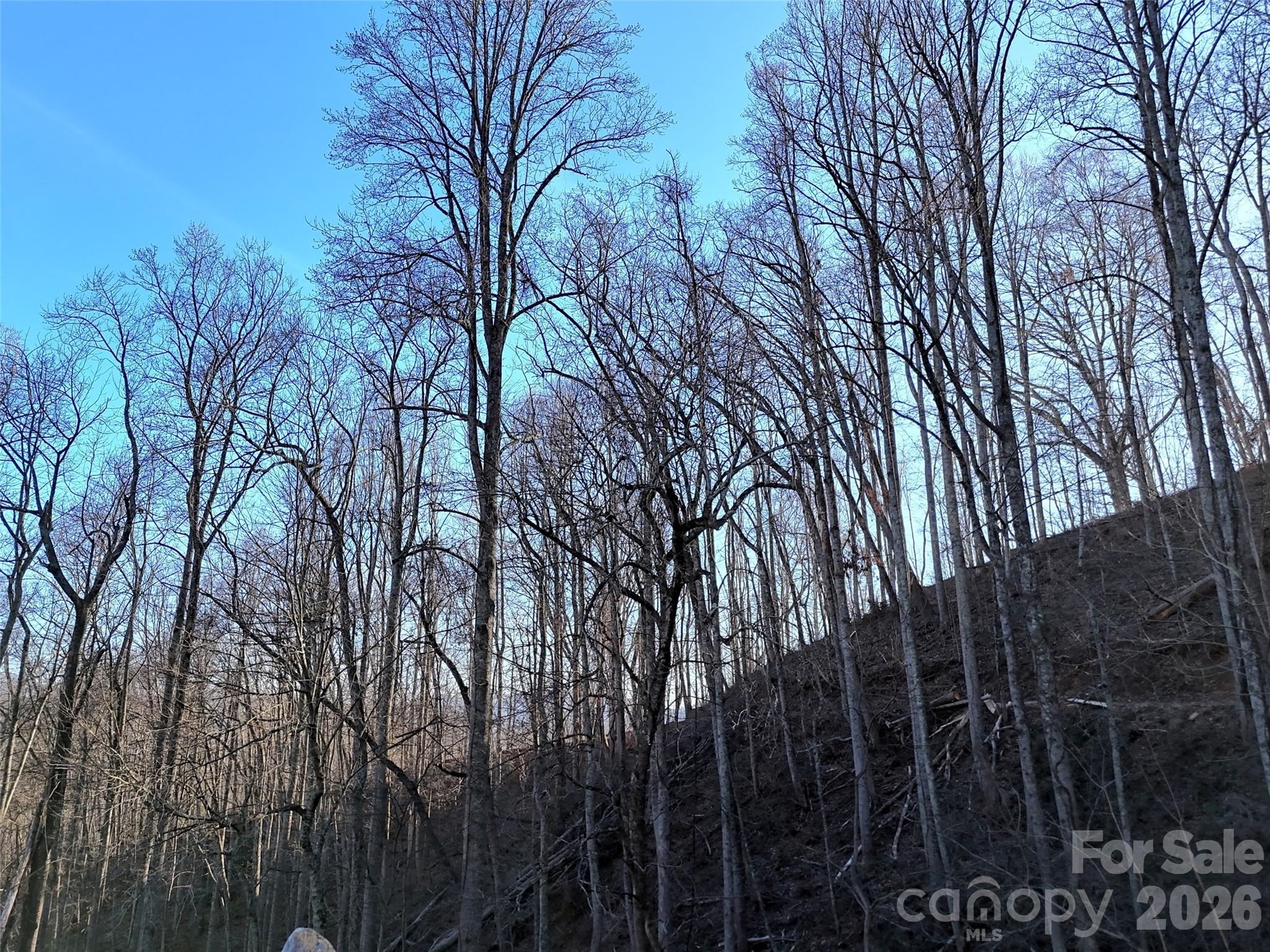672 Porters Ridge Canton NC 28716