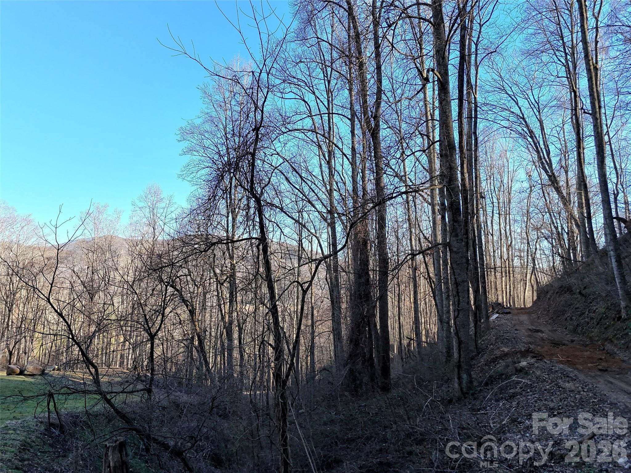 672 Porters Ridge Canton NC 28716