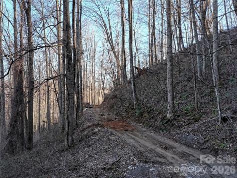 672 Porters Ridge Canton NC 28716