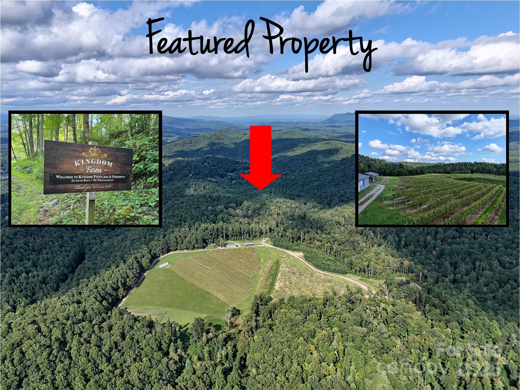 781 Payne Drive Zirconia NC 28790