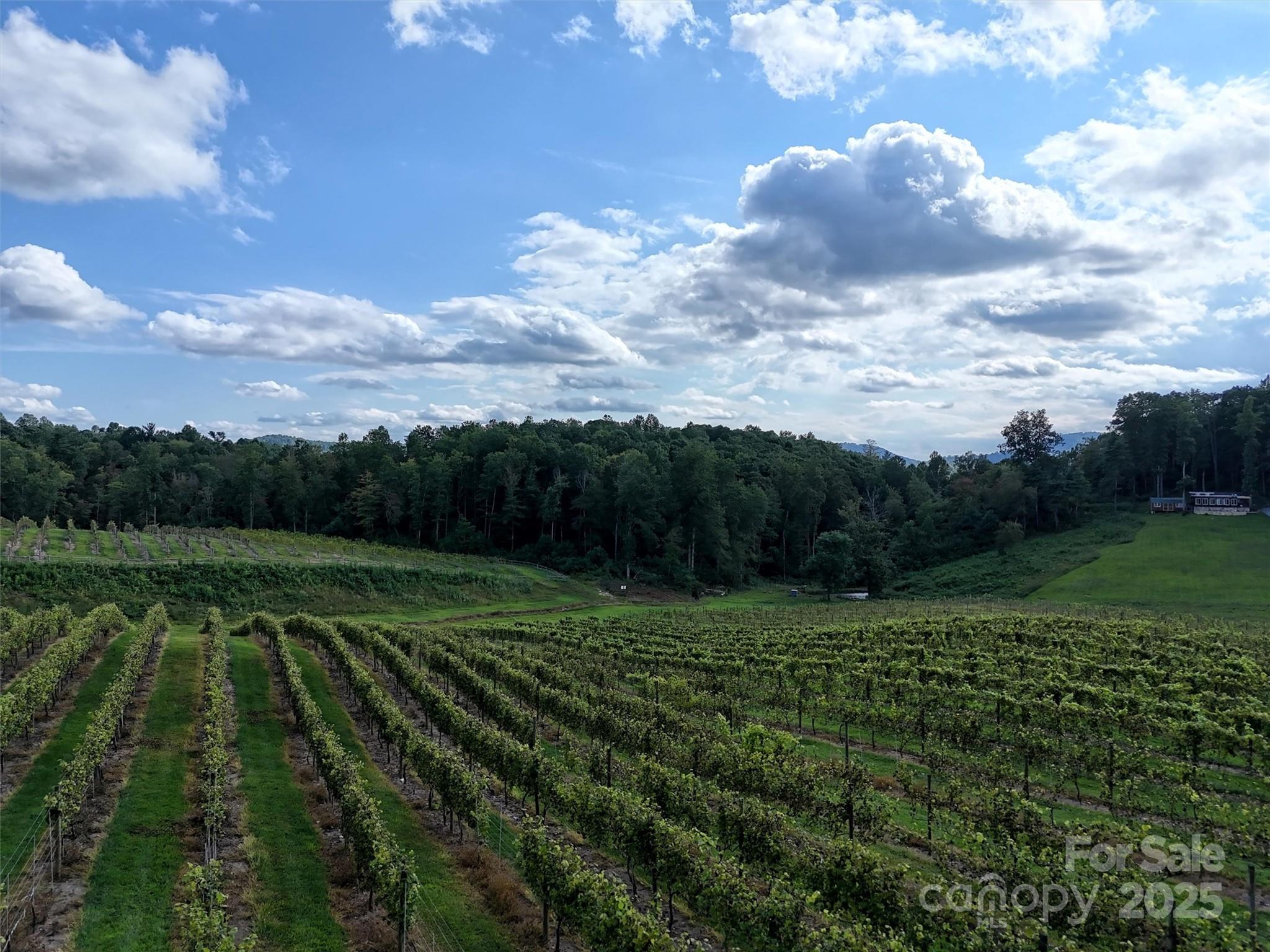 781 Payne Drive Zirconia NC 28790