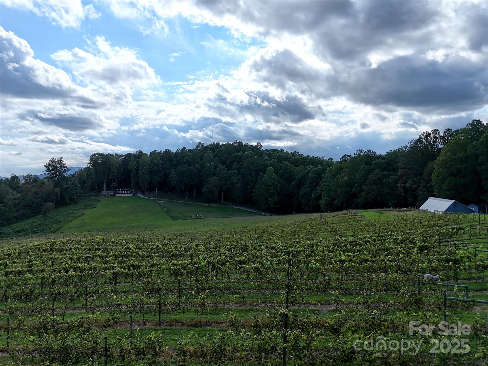 781 Payne Drive Zirconia NC 28790