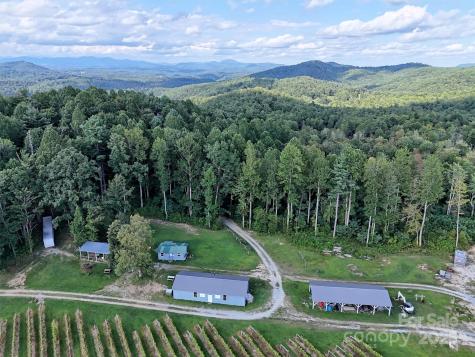 781 Payne Drive Zirconia NC 28790