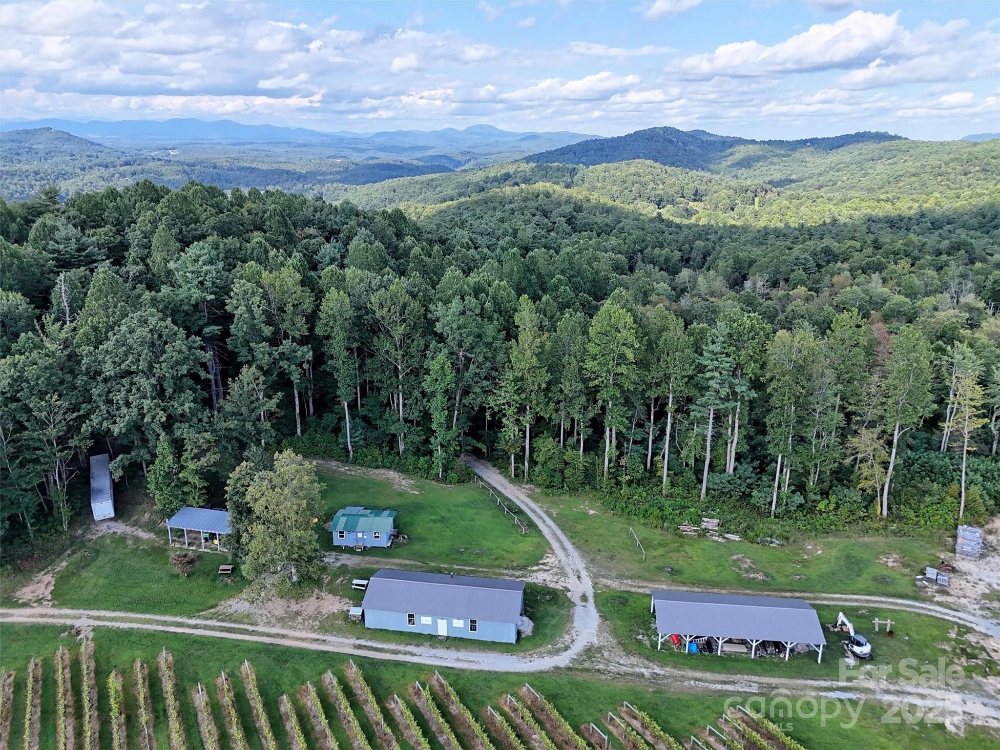 781 Payne Drive Zirconia NC 28790