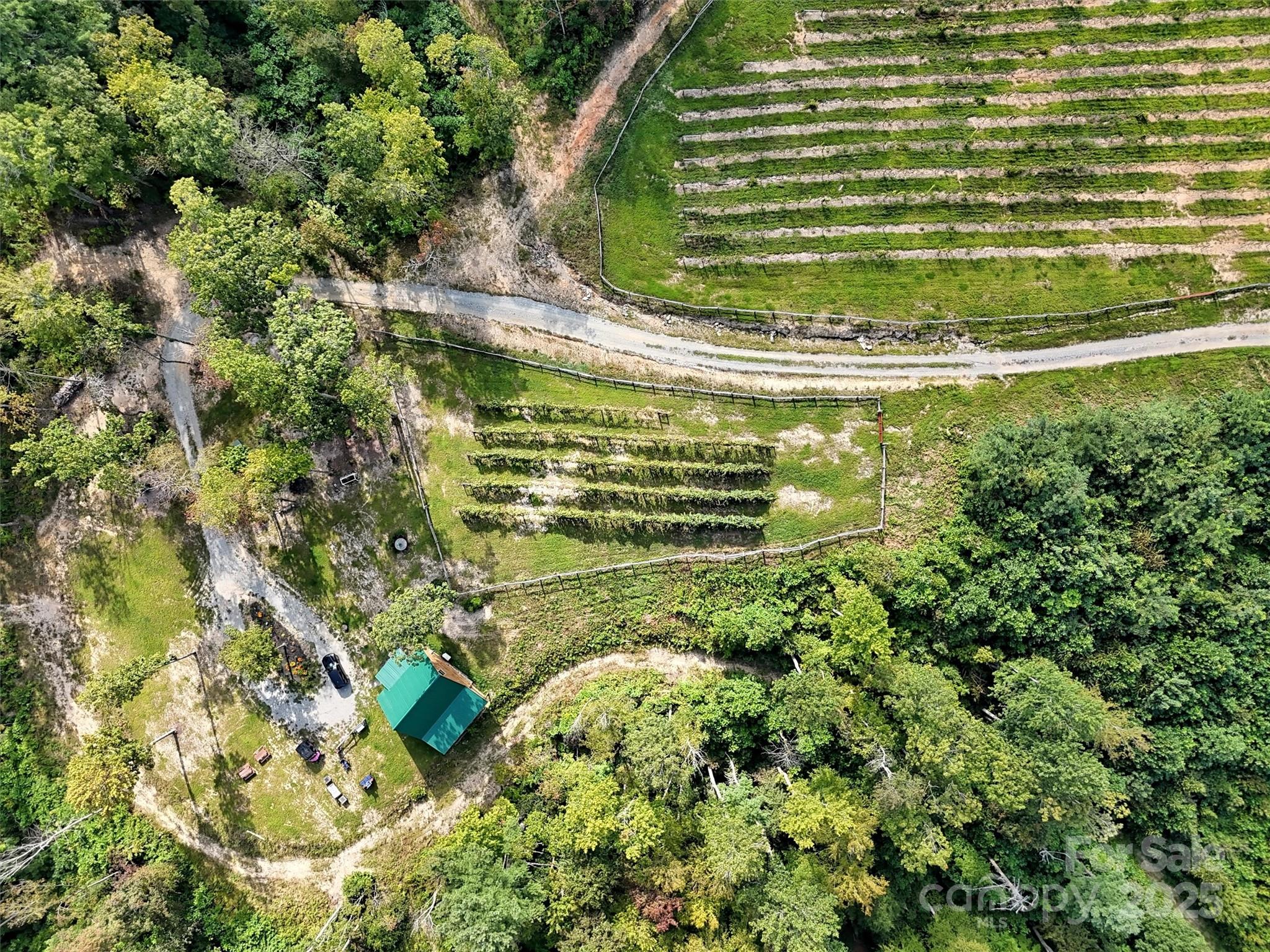 781 Payne Drive Zirconia NC 28790