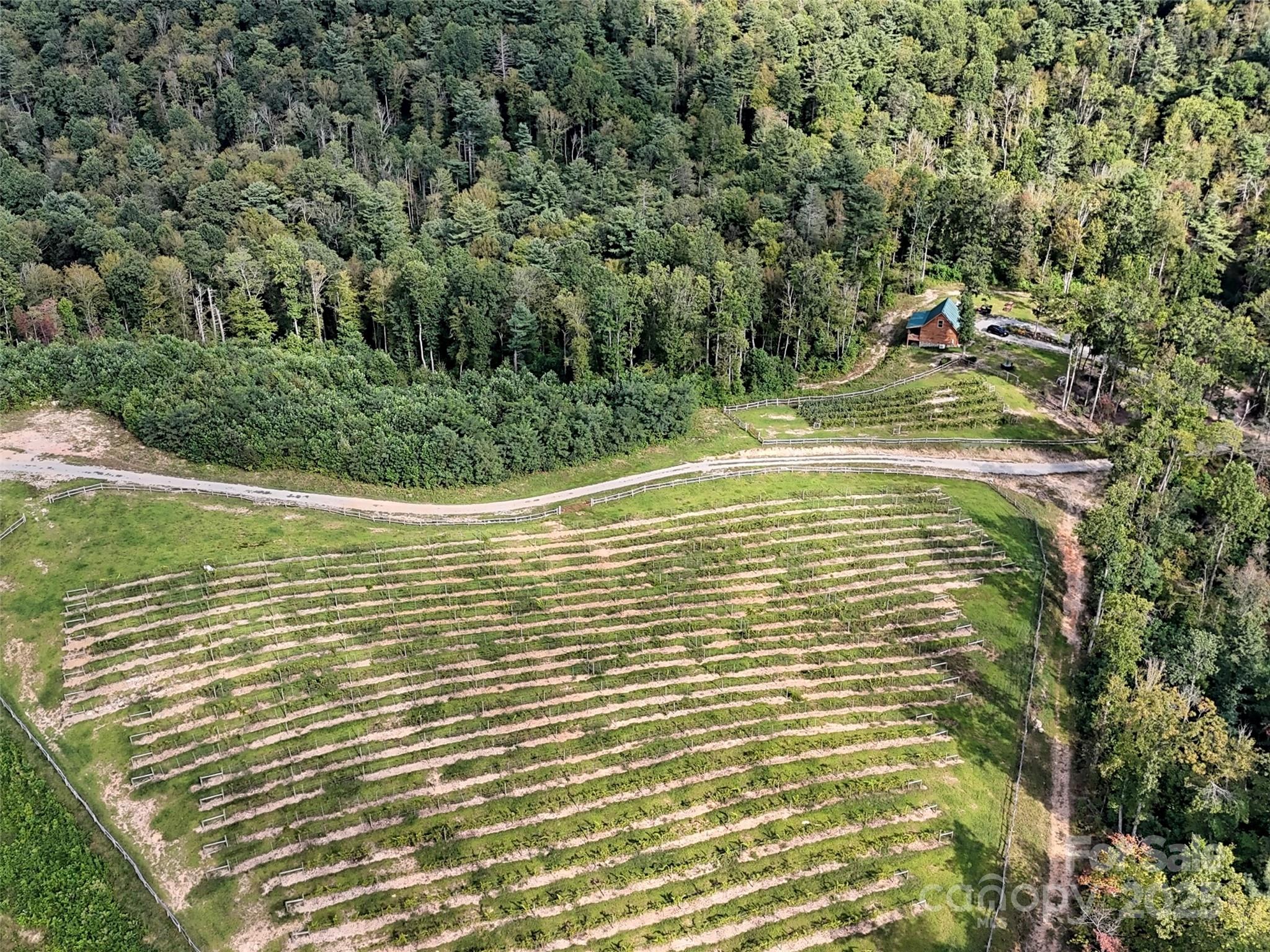 781 Payne Drive Zirconia NC 28790