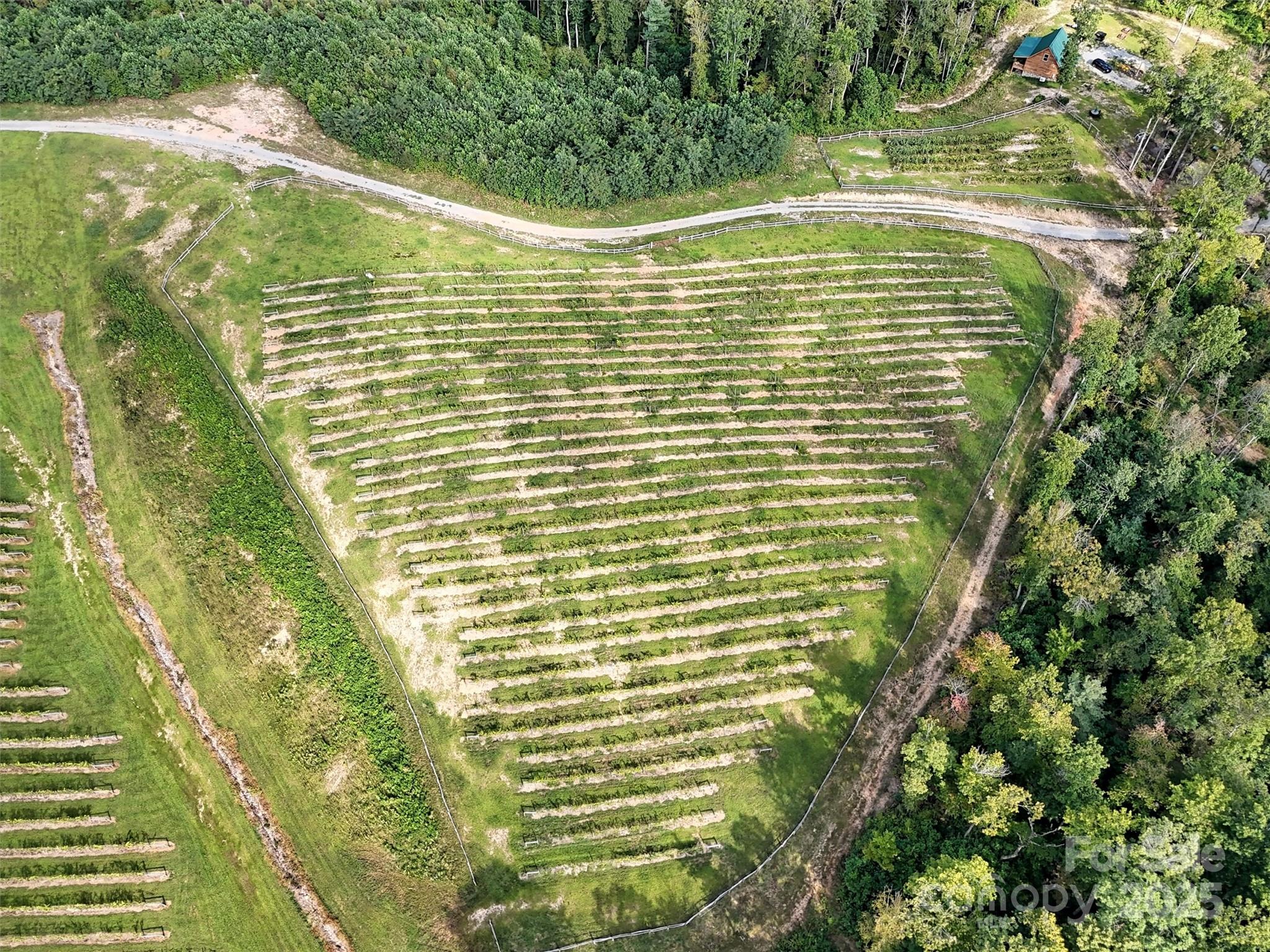 781 Payne Drive Zirconia NC 28790