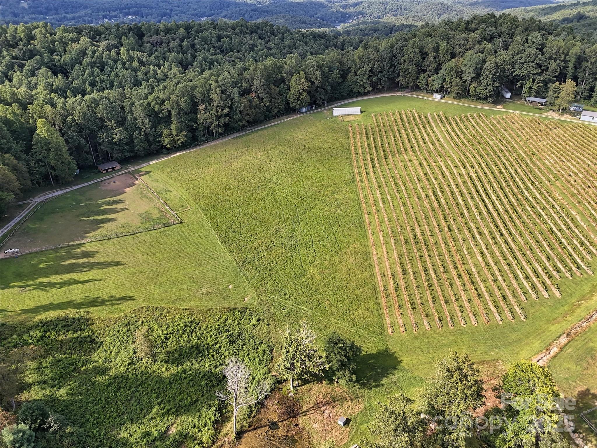 781 Payne Drive Zirconia NC 28790