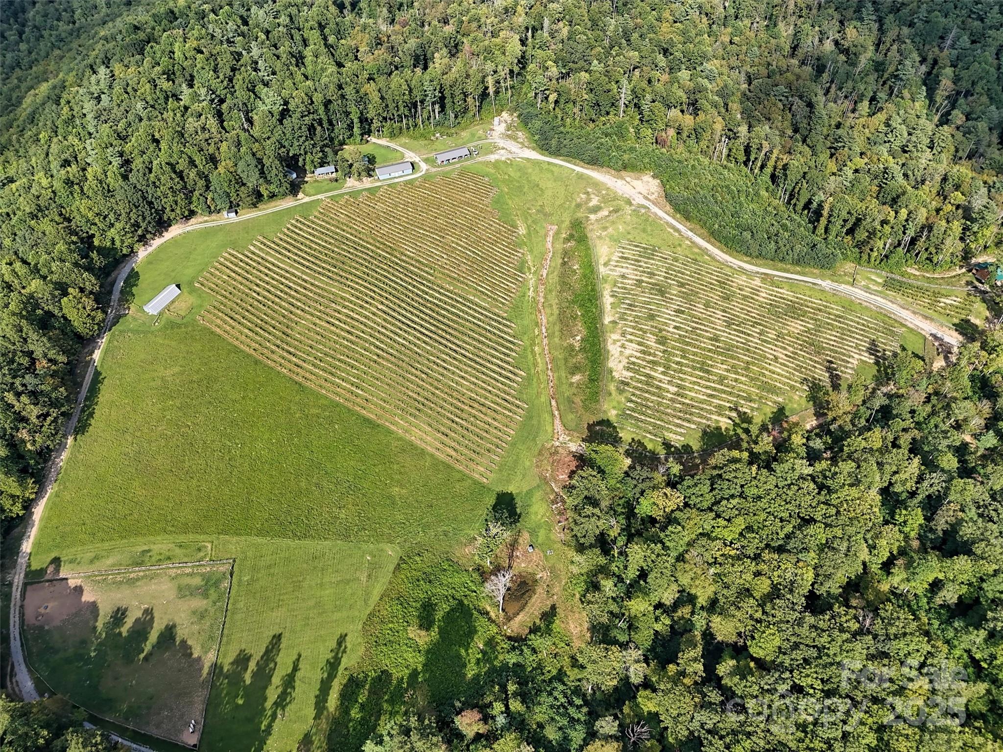 781 Payne Drive Zirconia NC 28790