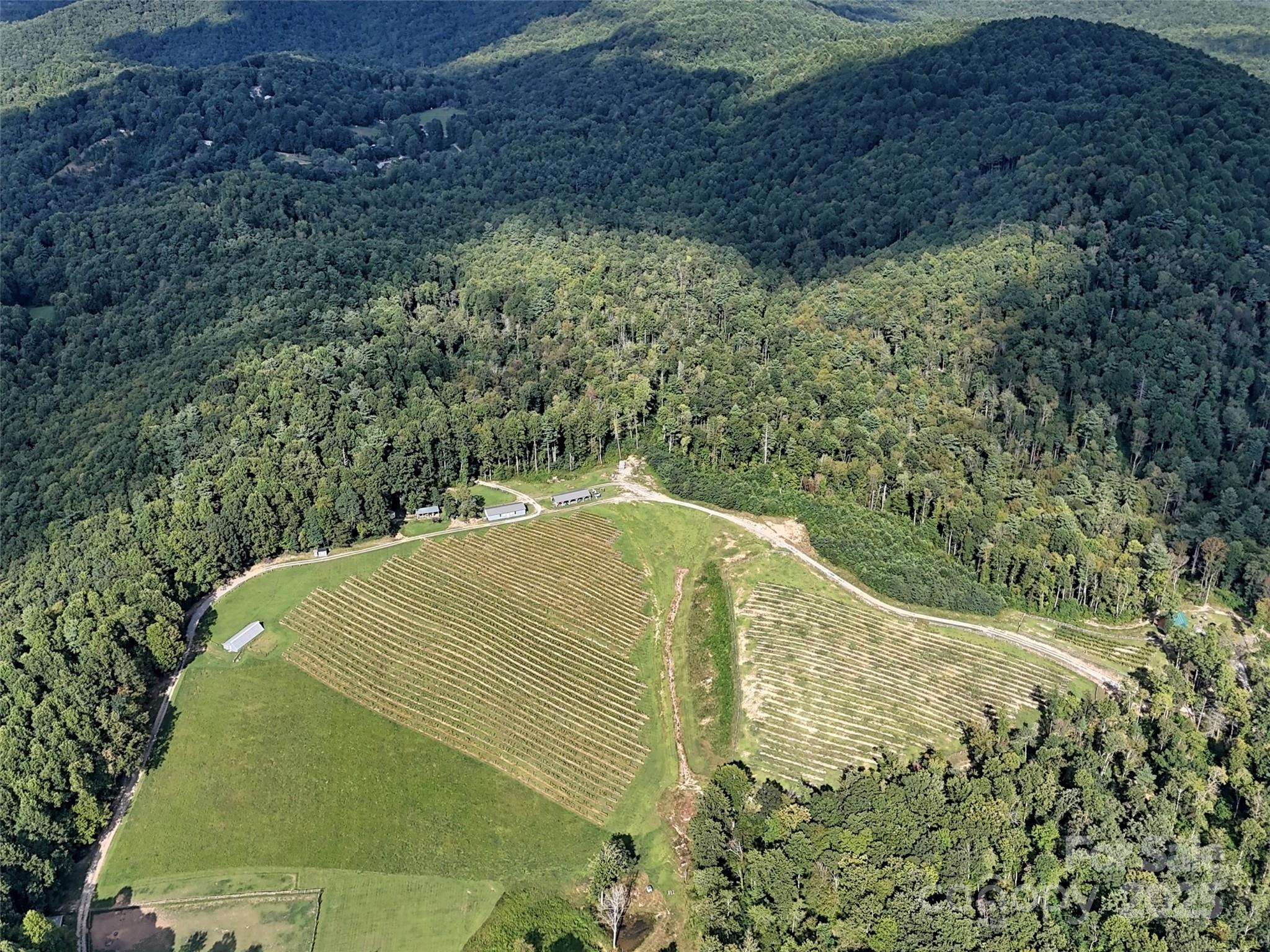 781 Payne Drive Zirconia NC 28790