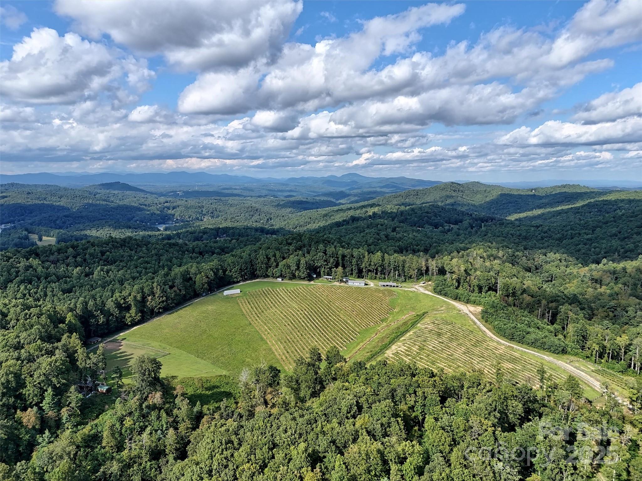 781 Payne Drive Zirconia NC 28790