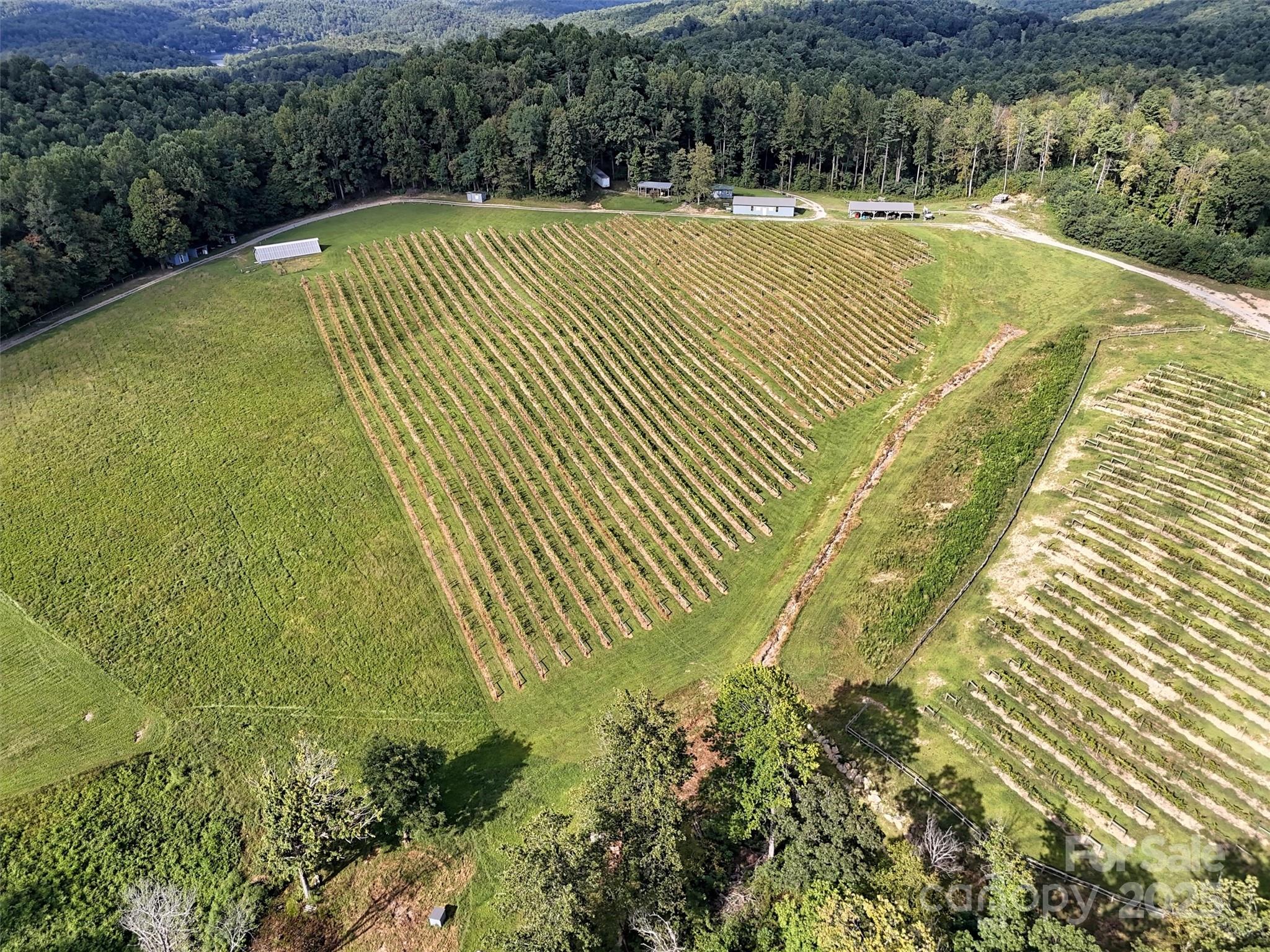 781 Payne Drive Zirconia NC 28790