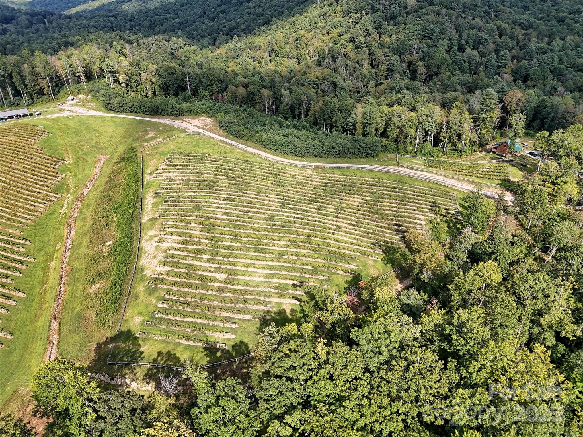 781 Payne Drive Zirconia NC 28790