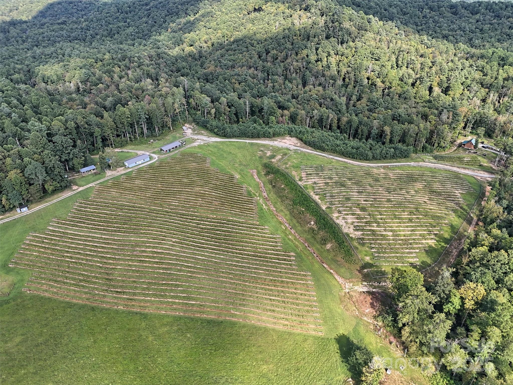 781 Payne Drive Zirconia NC 28790