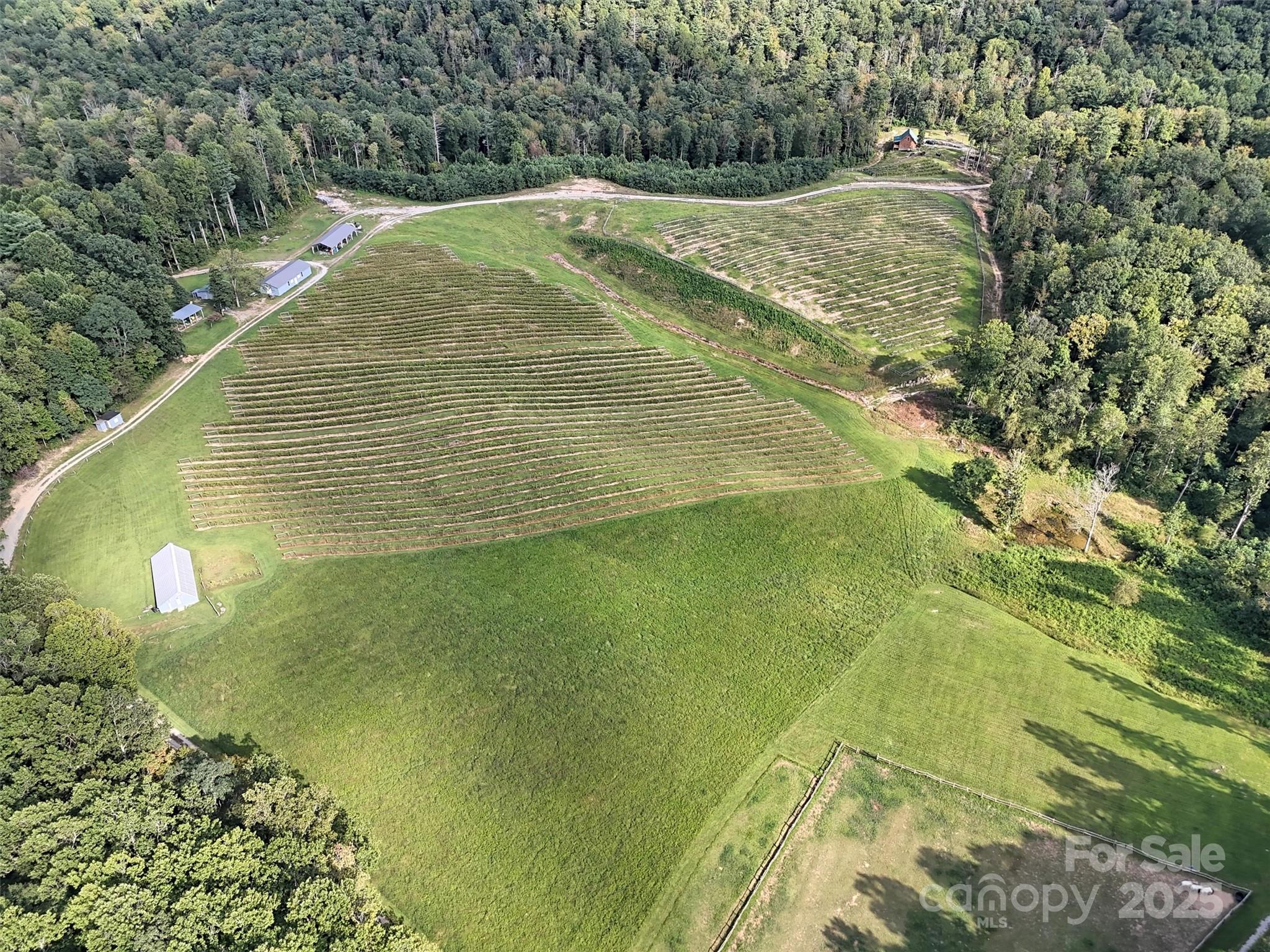 781 Payne Drive Zirconia NC 28790