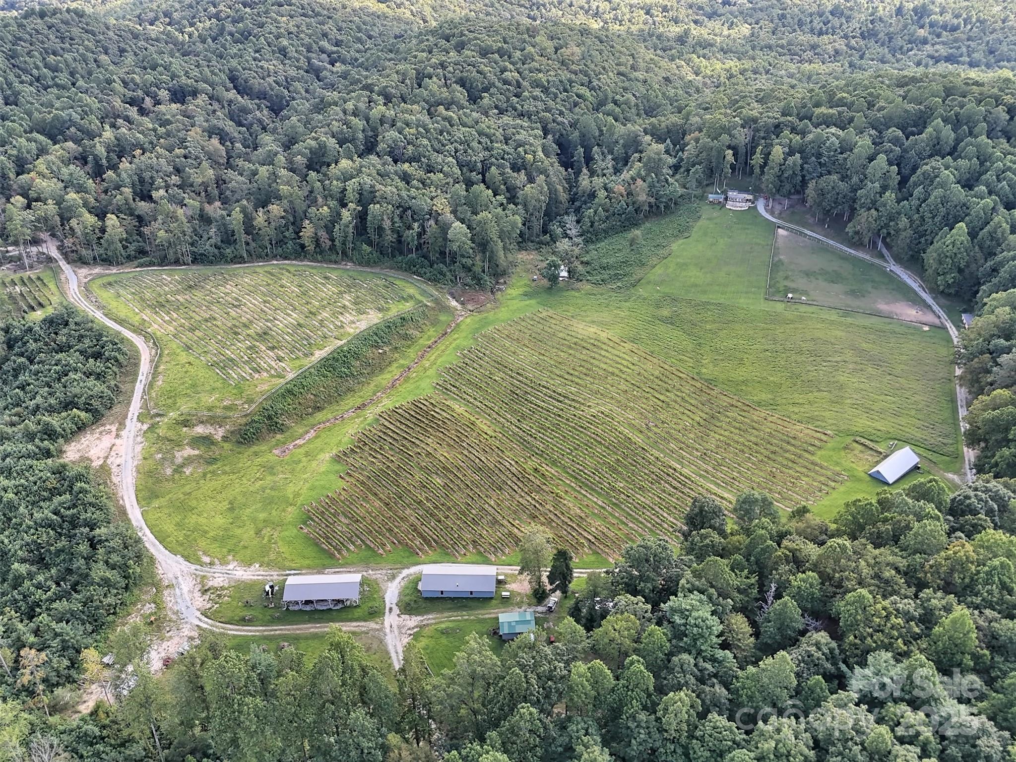 781 Payne Drive Zirconia NC 28790