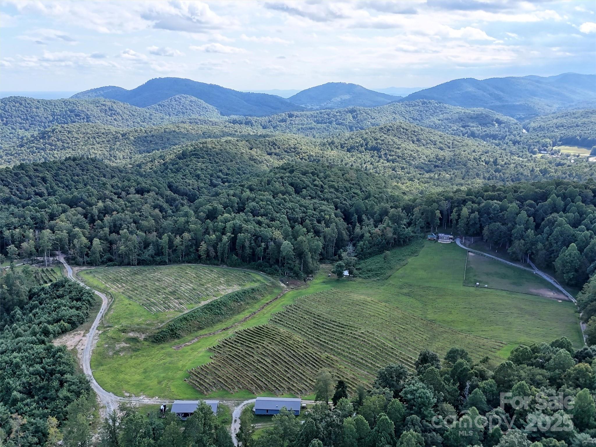 781 Payne Drive Zirconia NC 28790