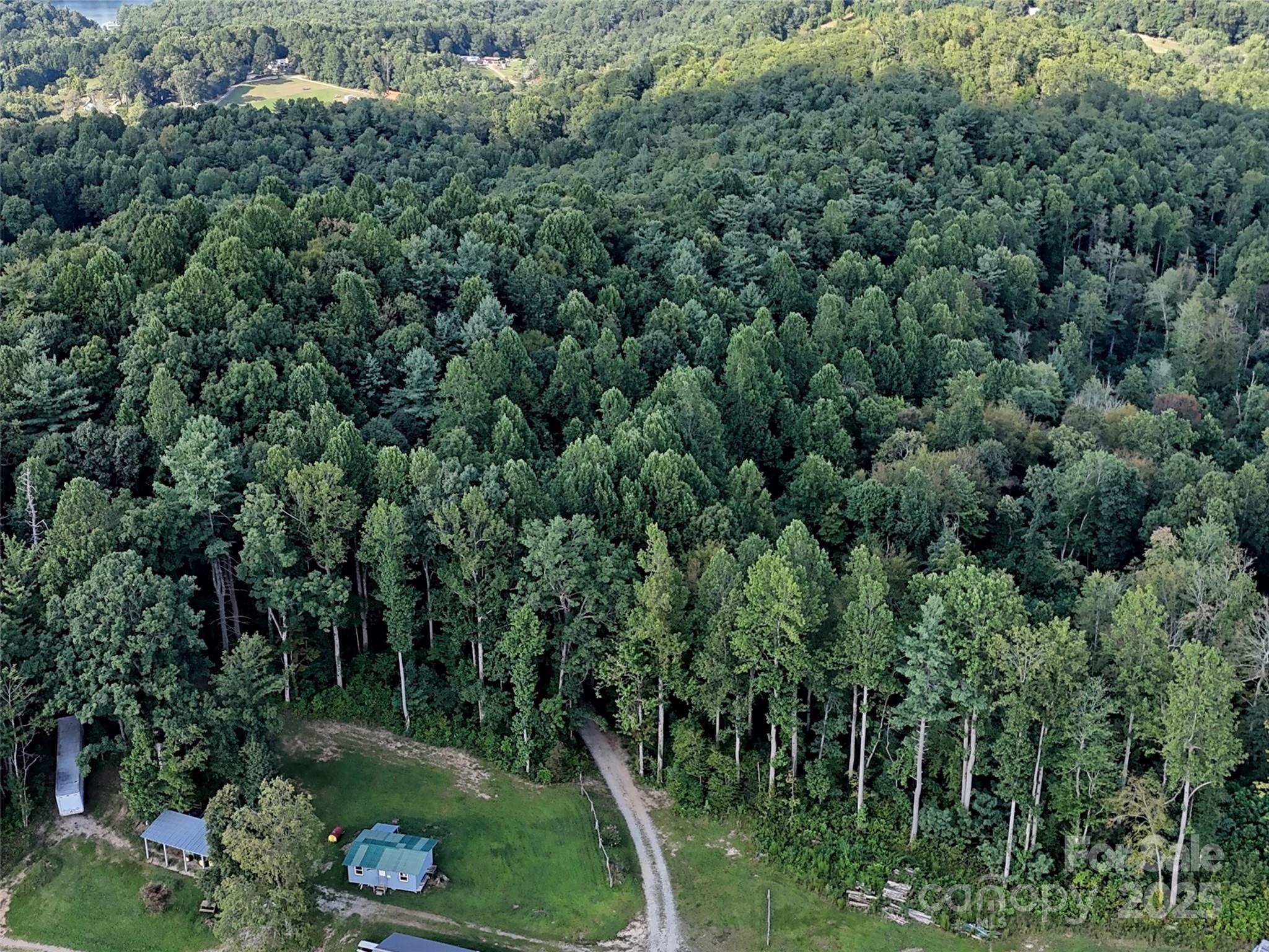 781 Payne Drive Zirconia NC 28790
