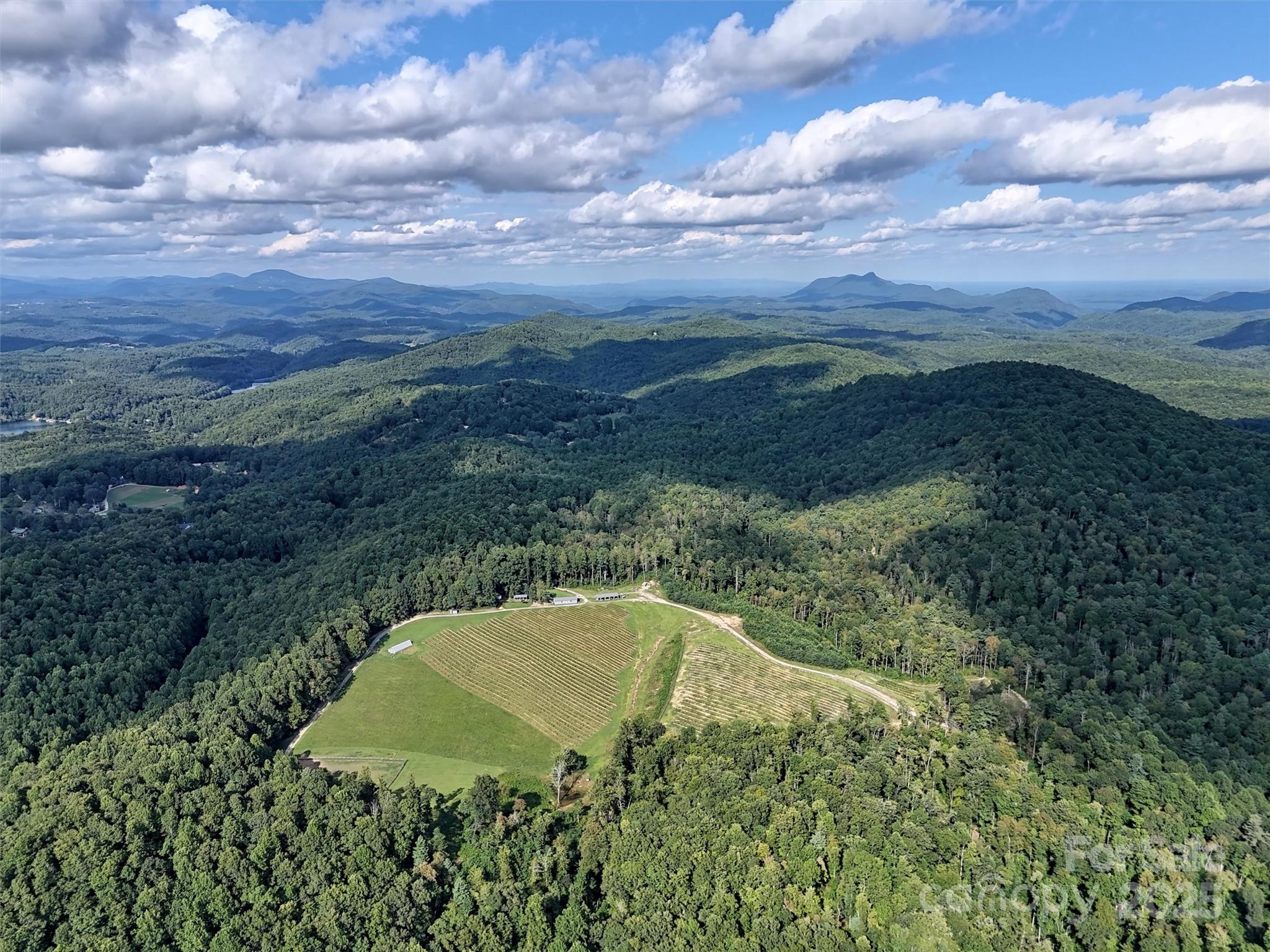 781 Payne Drive Zirconia NC 28790