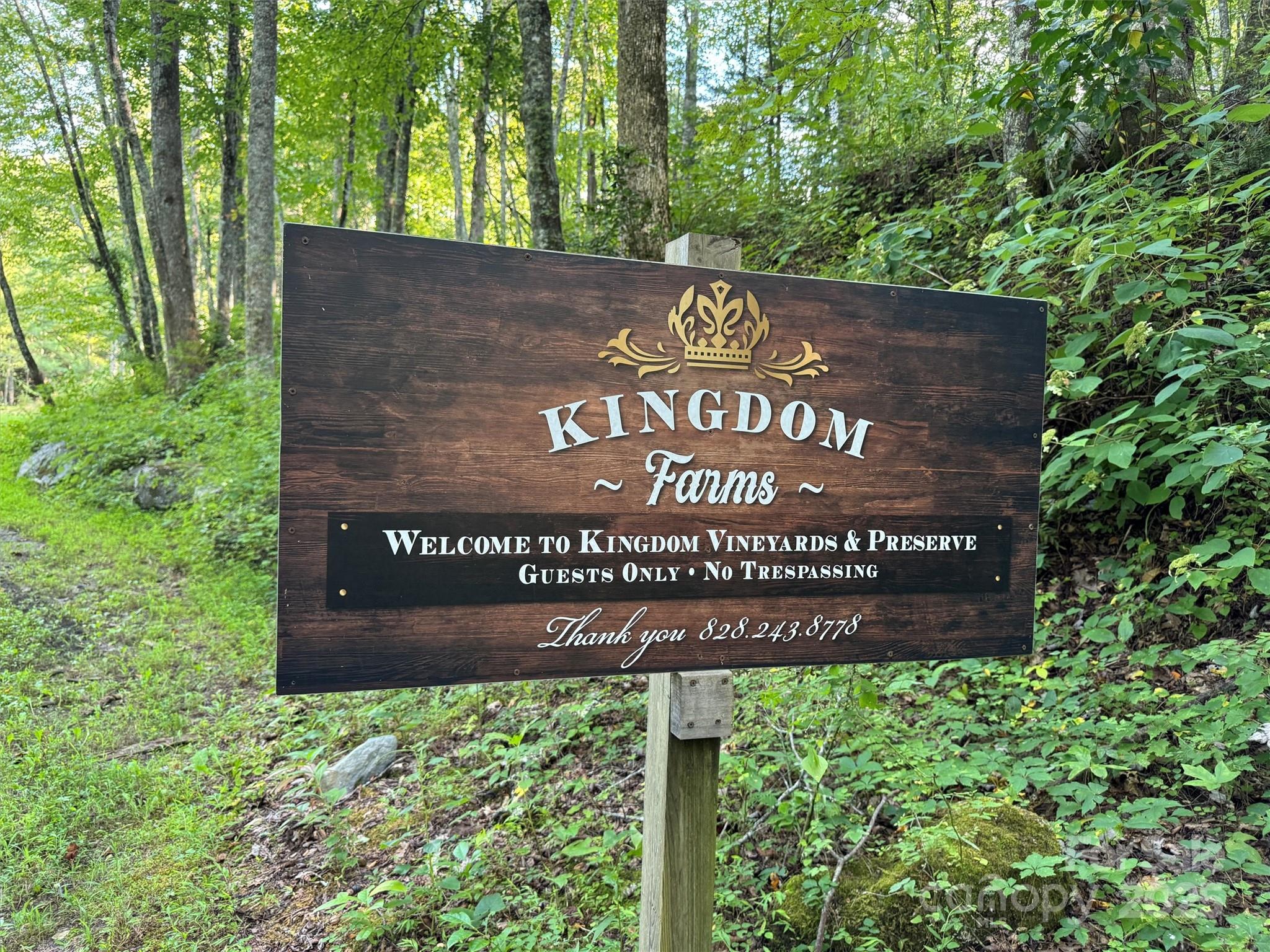 781 Payne Drive Zirconia NC 28790