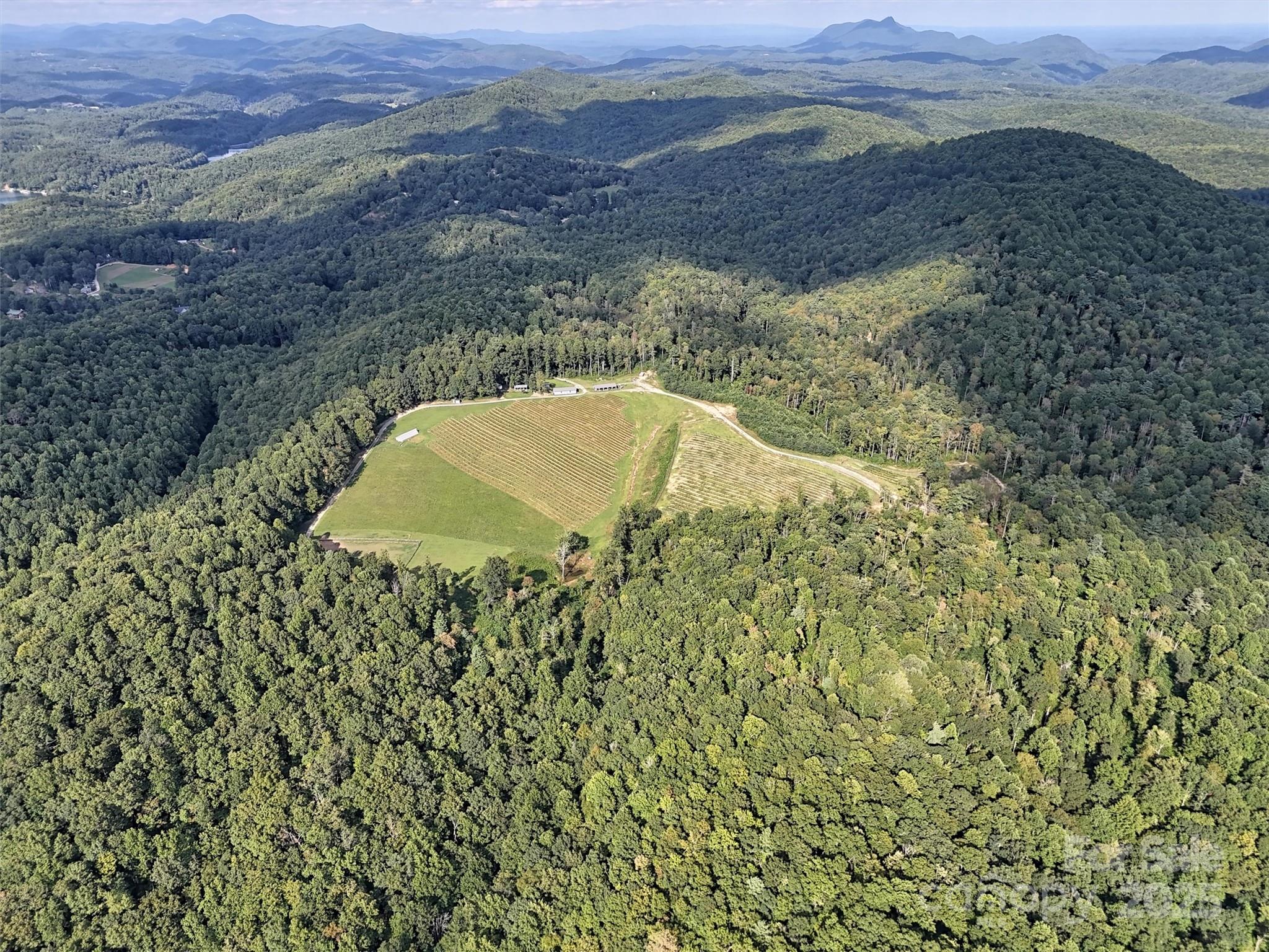 781 Payne Drive Zirconia NC 28790