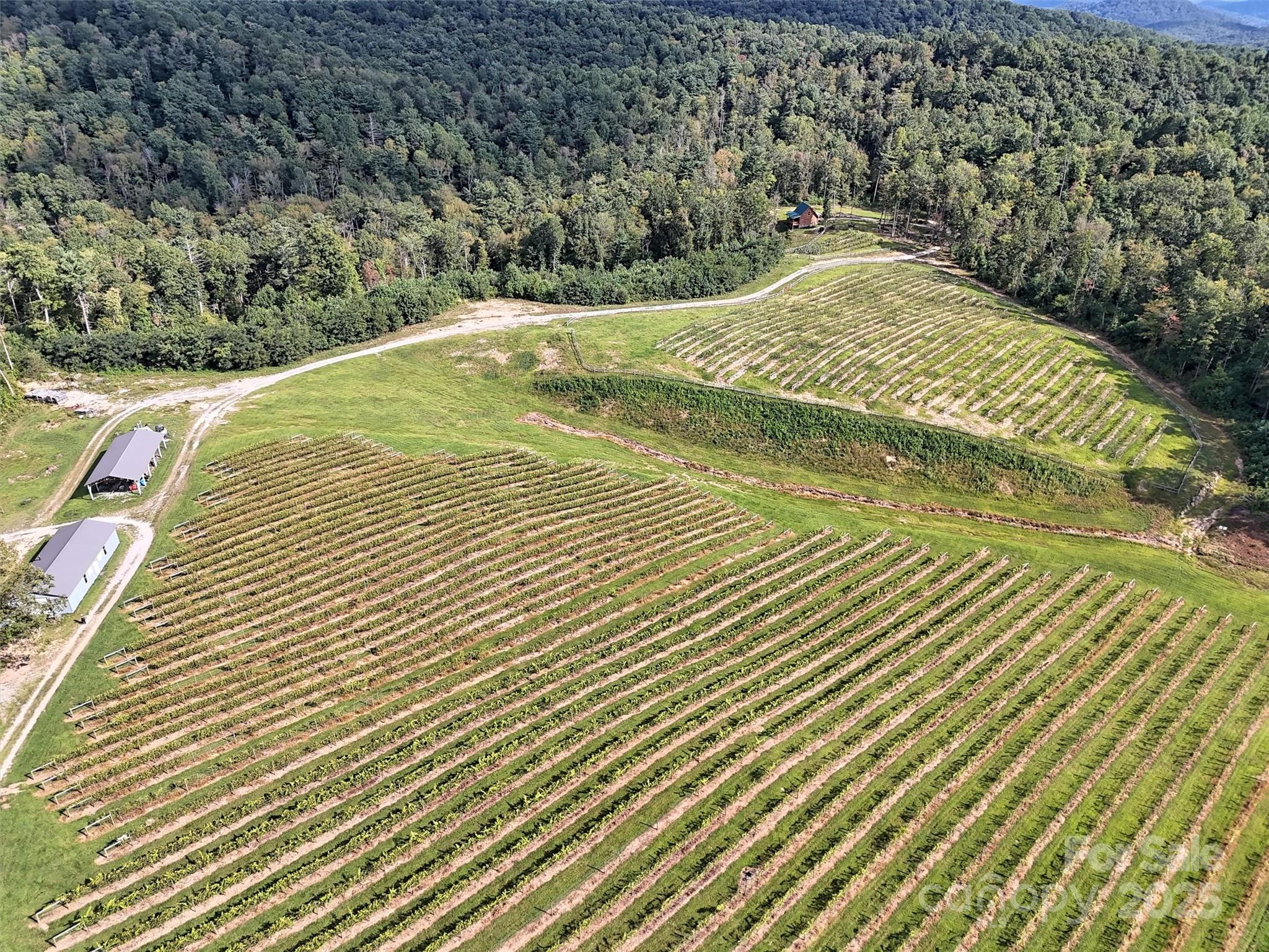 781 Payne Drive Zirconia NC 28790