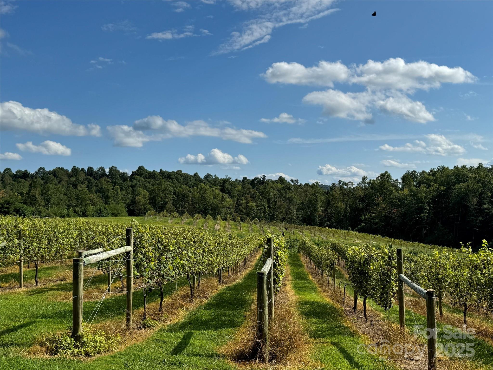 781 Payne Drive Zirconia NC 28790