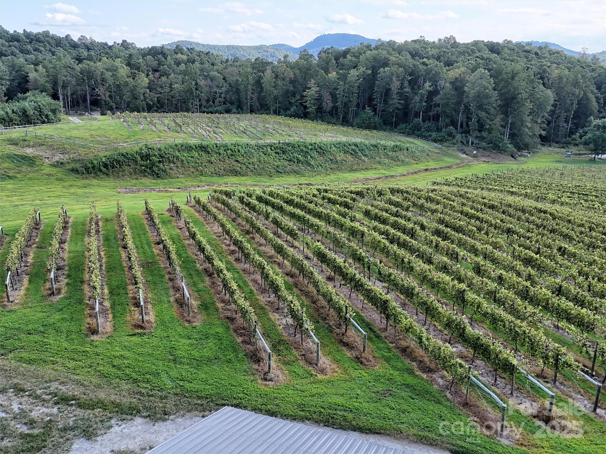 781 Payne Drive Zirconia NC 28790