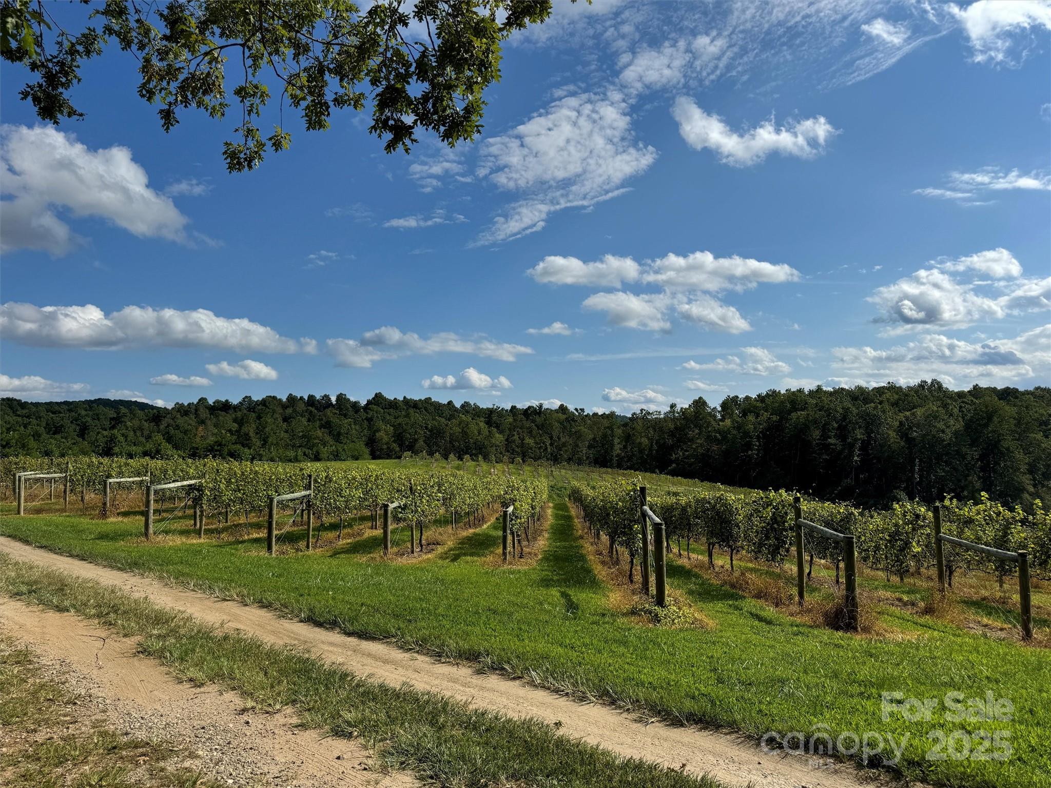 781 Payne Drive Zirconia NC 28790