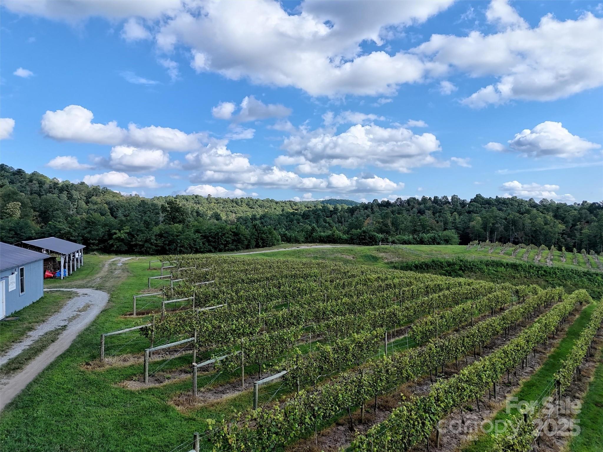 781 Payne Drive Zirconia NC 28790