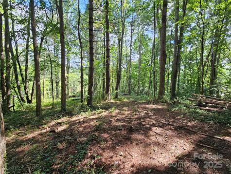 000 Dolan Road Waynesville NC 28786