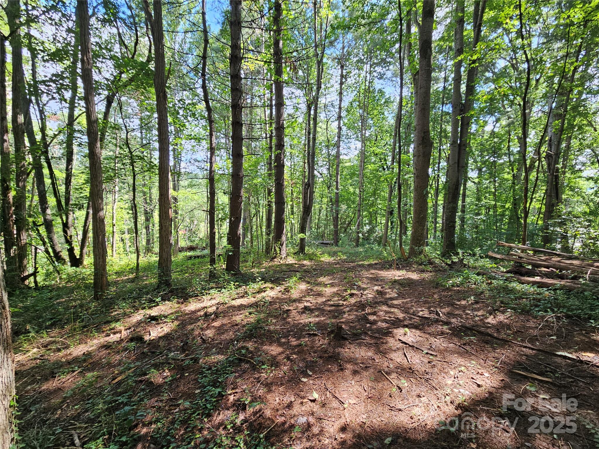 000 Dolan Road Waynesville NC 28786