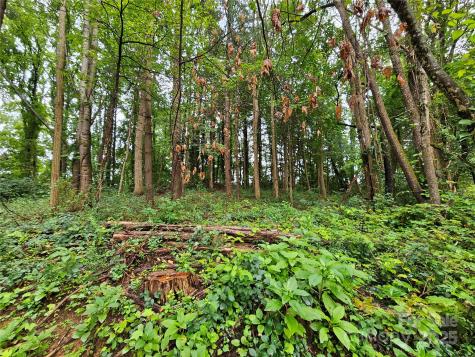 000 Dolan Road Waynesville NC 28786