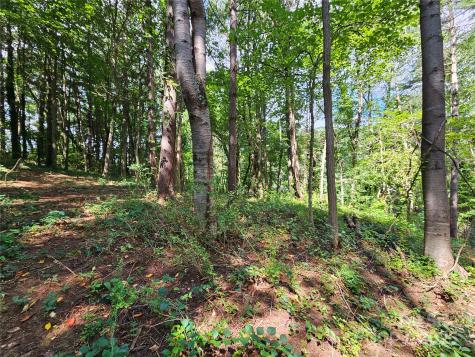 000 Dolan Road Waynesville NC 28786