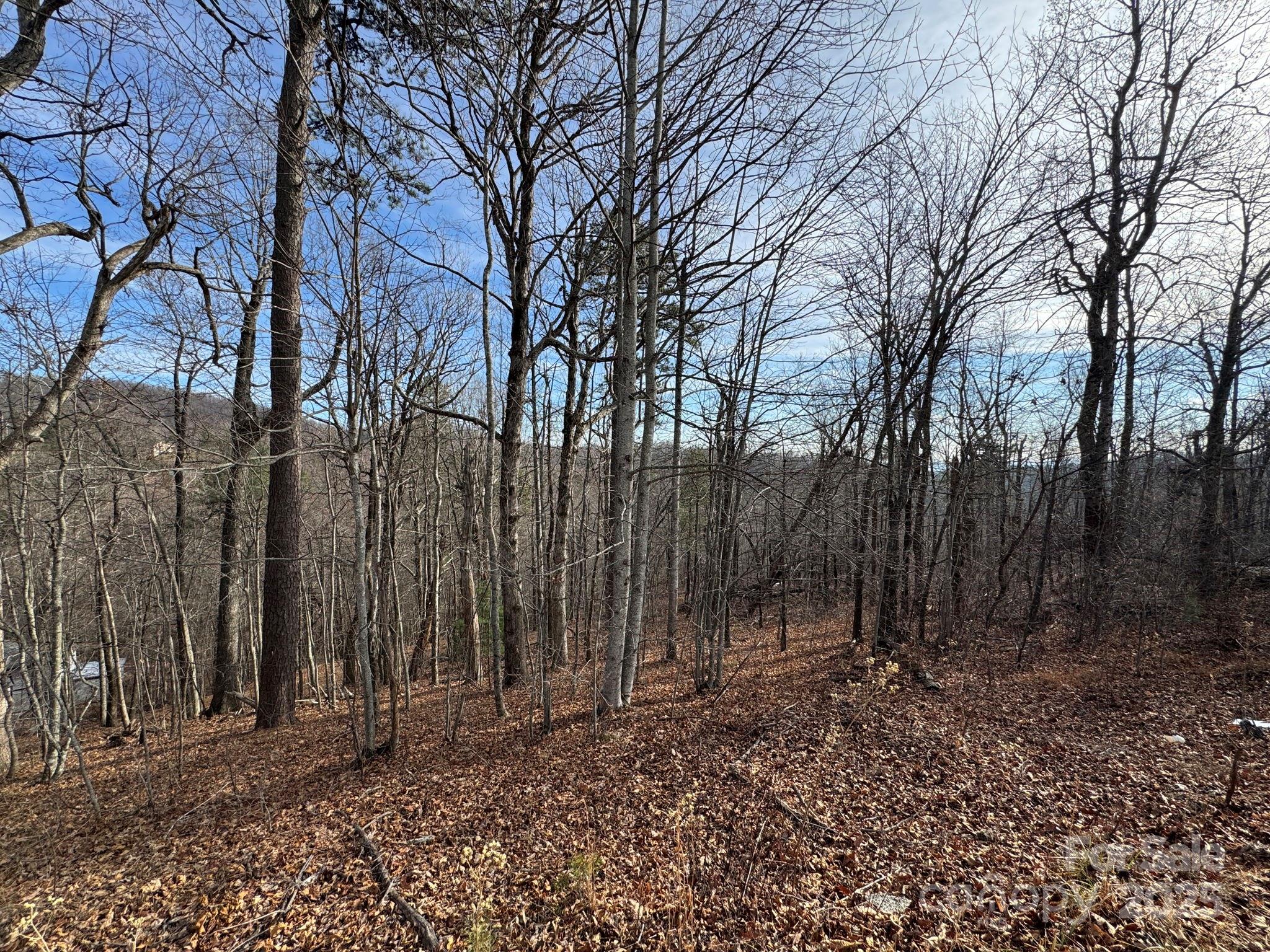 6955 Silver Creek Lane Morganton NC 28655
